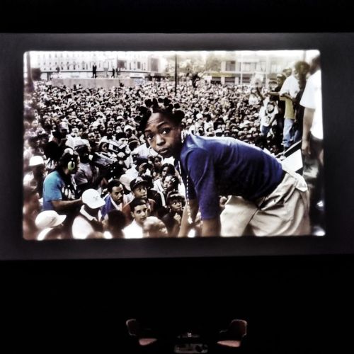 Music Film Festival⁣: a new member from Netherlands